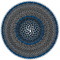 ../_images/model_vesicle.png