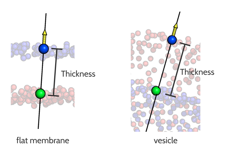 ../_images/thickness_results.png